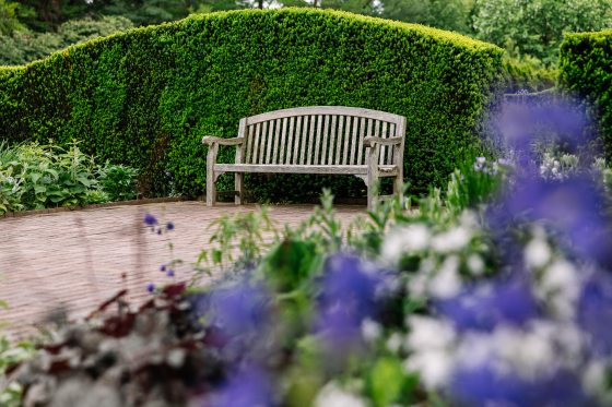 An empty wooden bench in the Idea Garden at Longwood.